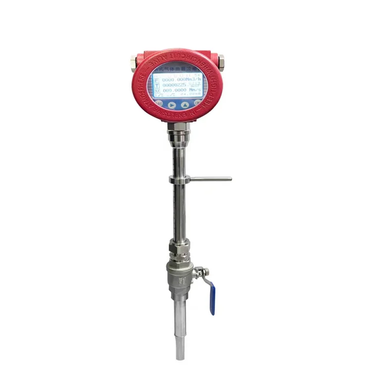 DN65-DN300 Stainless Steel Plug-in Hot  Mass Flowmeter for Air +/-2.5% Accuracy OEM Customizable 1 Year Warranty