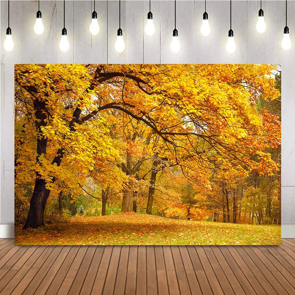 Autumn Forest Scene Photo Backdrop Yellow Maple Fall Background for Photography Baby Kids Portrait Photoshoot Banner