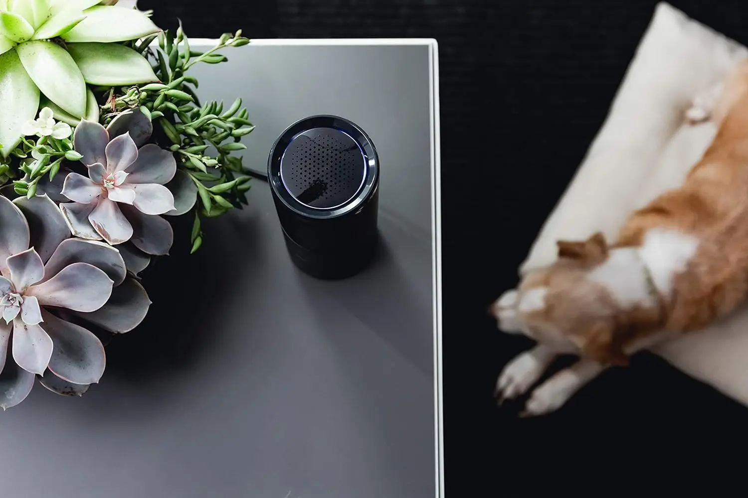 Чистый свет Воздух