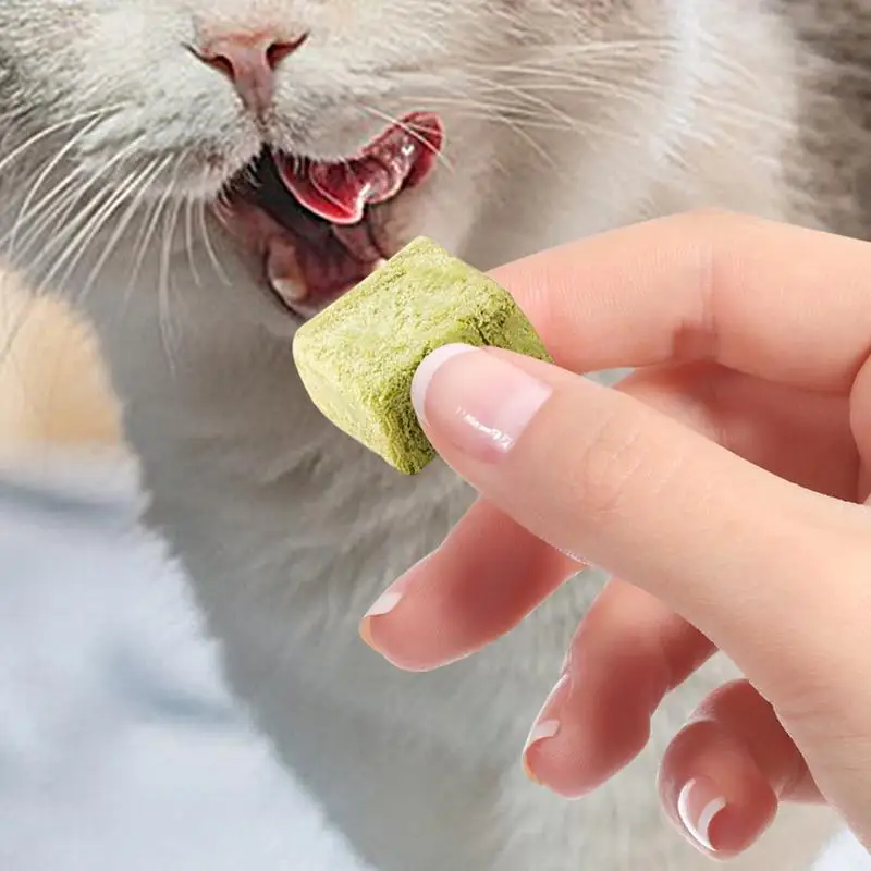 Snack per erba per gatti 60g Liofilizzato Dentizione per animali domestici Erba naturale Snack per gatto Catnip Gattino Cura dei denti Cibo commestibile Giocattoli per capelli