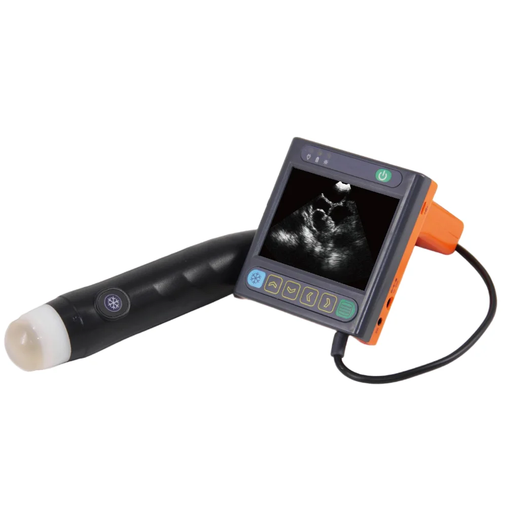 

Veterinary Ultra sonic Diagnostic Instrument Mechanical Sector Ultrasound Scanner for Abdominal Diagnosis MTR Brand Model