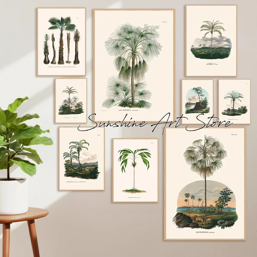 Antique Botanical Illustration Palm Tree Nature Tropical Coastal Palm Tree Minimalist Poster Canvas Painting Wall Pictures Decor