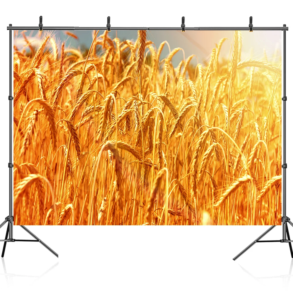 Bonvvie Photography Backdrop Beautiful Sunset Ripe Wheat Ears Golden Field Child Portrait Photocall Background for Photo Studio