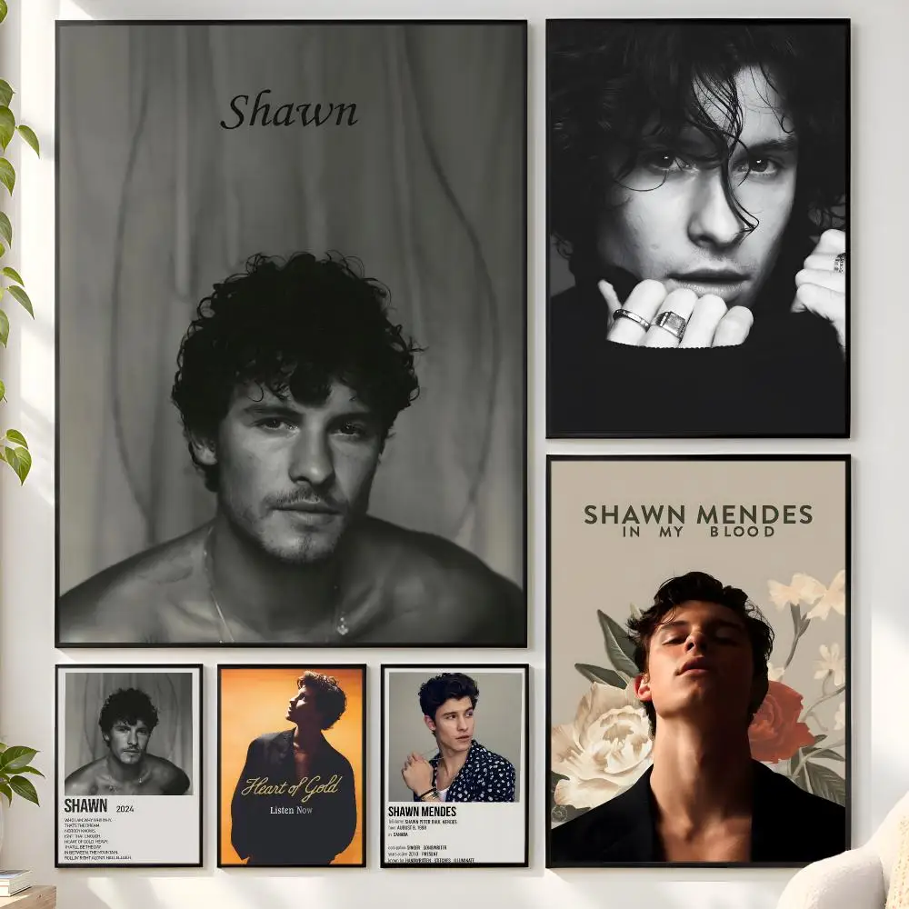 S-Shawn Mendes SINGER Poster Matte Wall Peel And Stick Decor Bedroom Living Room Office Dorm Home