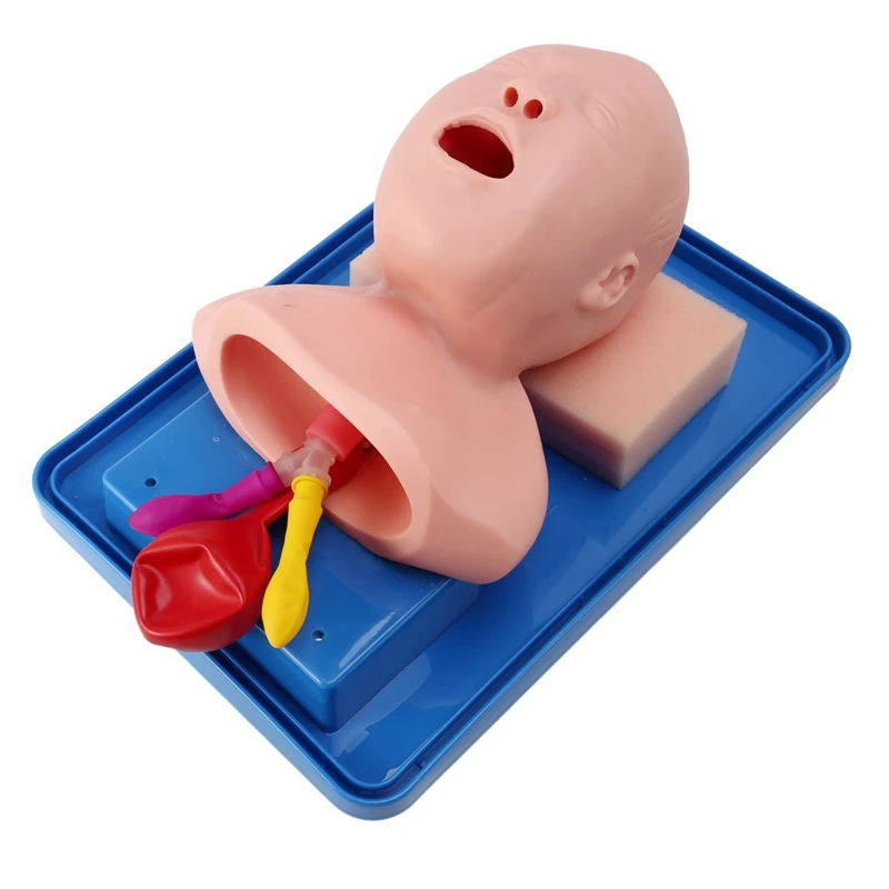 Neonatal Tracheal Intubation Model Analog Double Lung And Stomach Expansion Child Tracheal Intubation Training Model