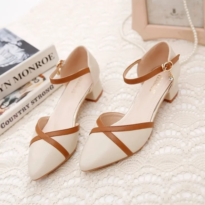 2024 New Spring/Summer Coarse Heels Versatile Pointy Headed Sandals for Women