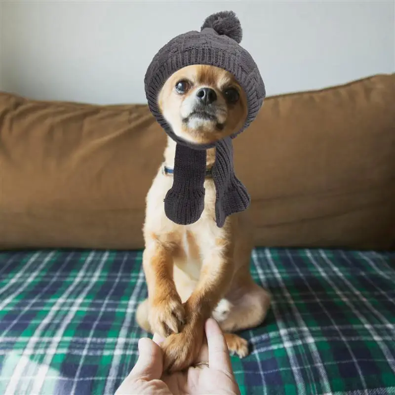 Knitted Dog Winter Hat With Scarf Warm Dog Cap Knit Scarf Dog Small Hat Warm Pet Winter Hat Pet Dress Headdress Pet Headgear