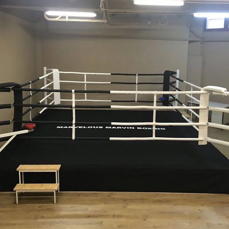Factory International Standard High Quality Boxing Ring MMA Cage Wrestling Cage For Export