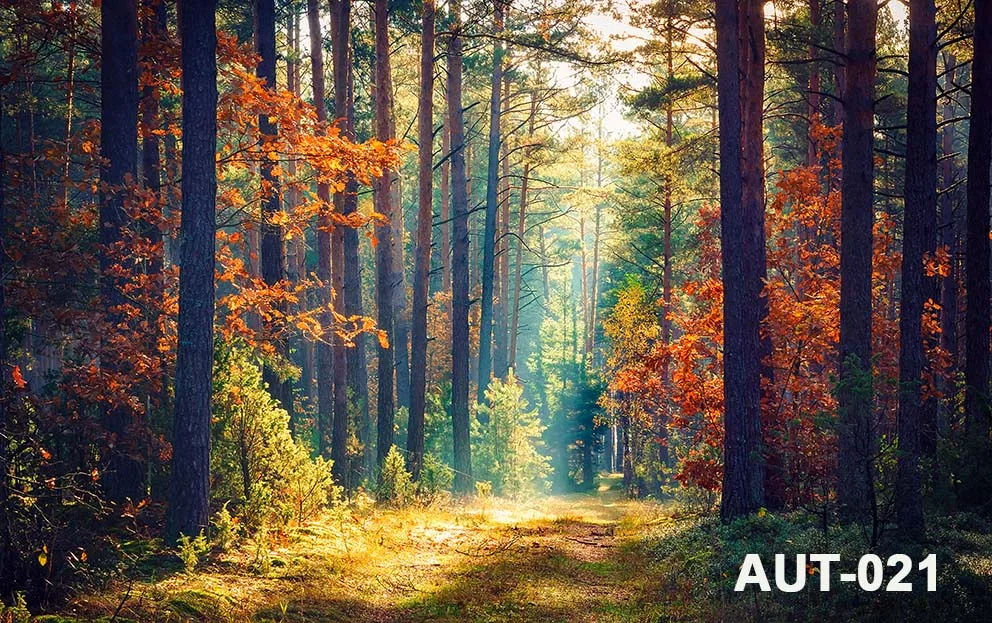 Photography Backdrops Forest Garden Autumn Fall Maples Baby Portrait Backgrounds Birthday Natural Scenery Photo Studio Props