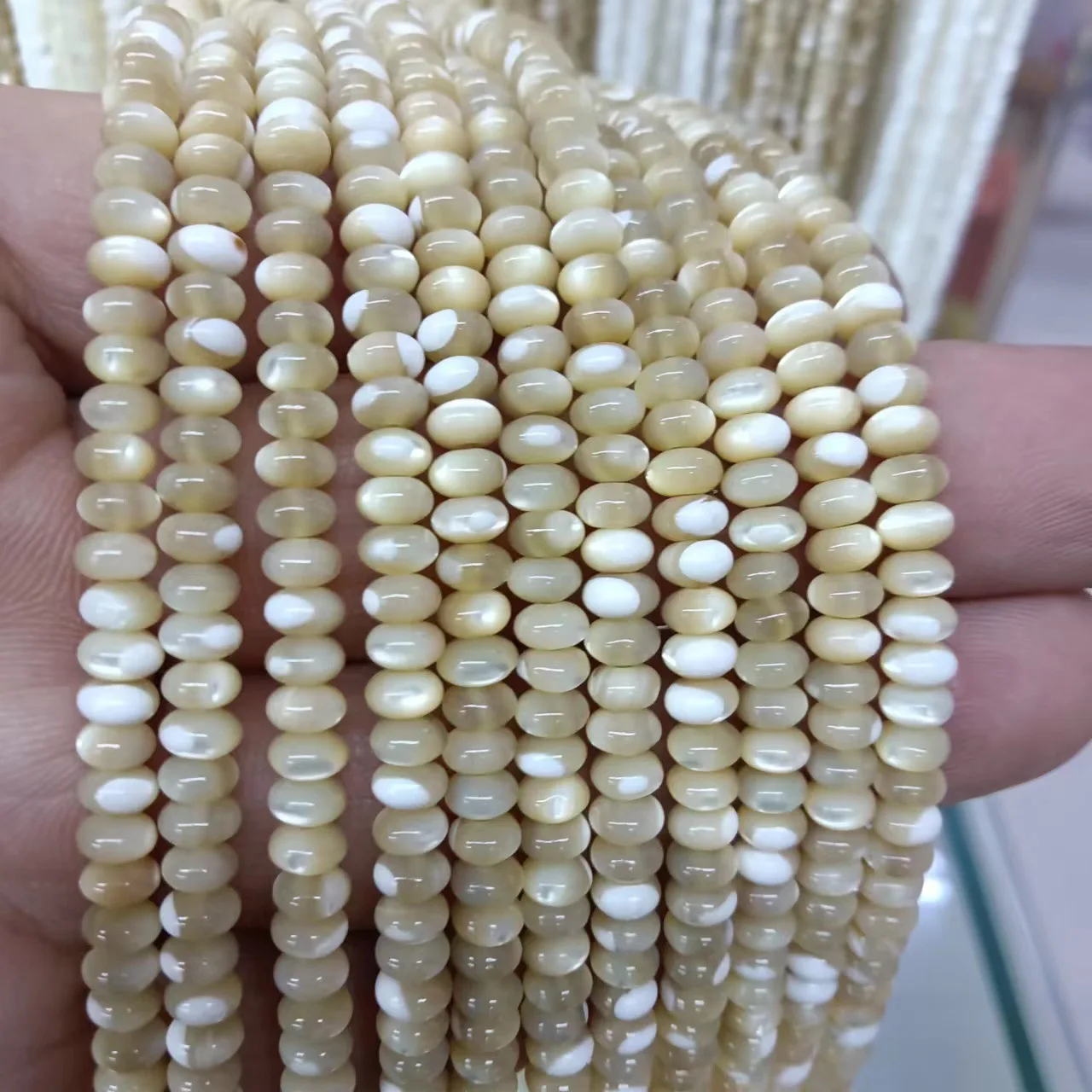 Trochidae shell white/brown roundelle 5/6/7mm for DIY jewelry making  loose beads  FPPJ wholesale beads nature gemstone