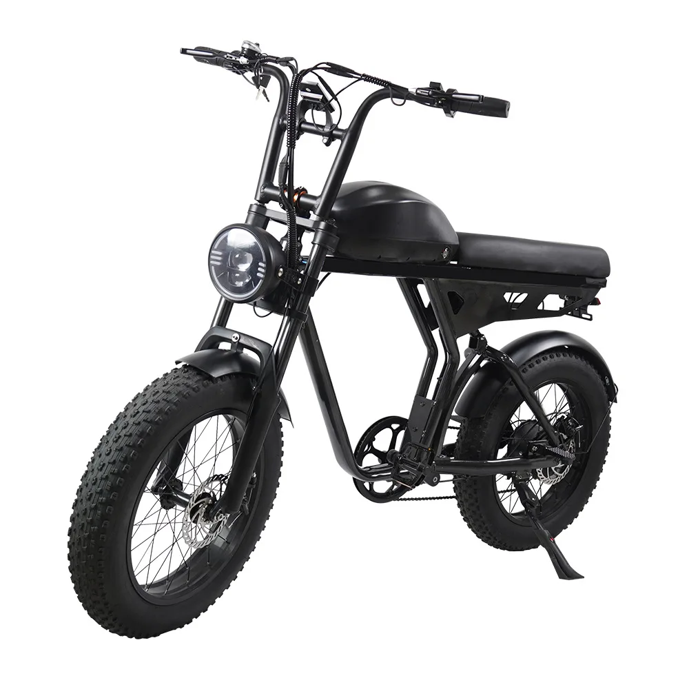 New 20-inch Aluminum Alloy 750-watt High-power Motor With Shock Absorber Lithium Battery To Help Dual-purpose Mountain Bikes