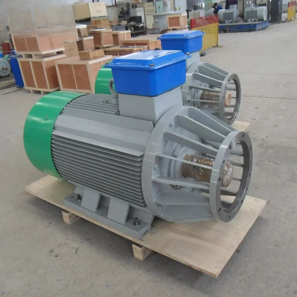 Generatore a magneti permanenti da 5 kW 10 kW 50 kW 100 kW 250 300 500 600 giri/min alternatore a magneti permanenti