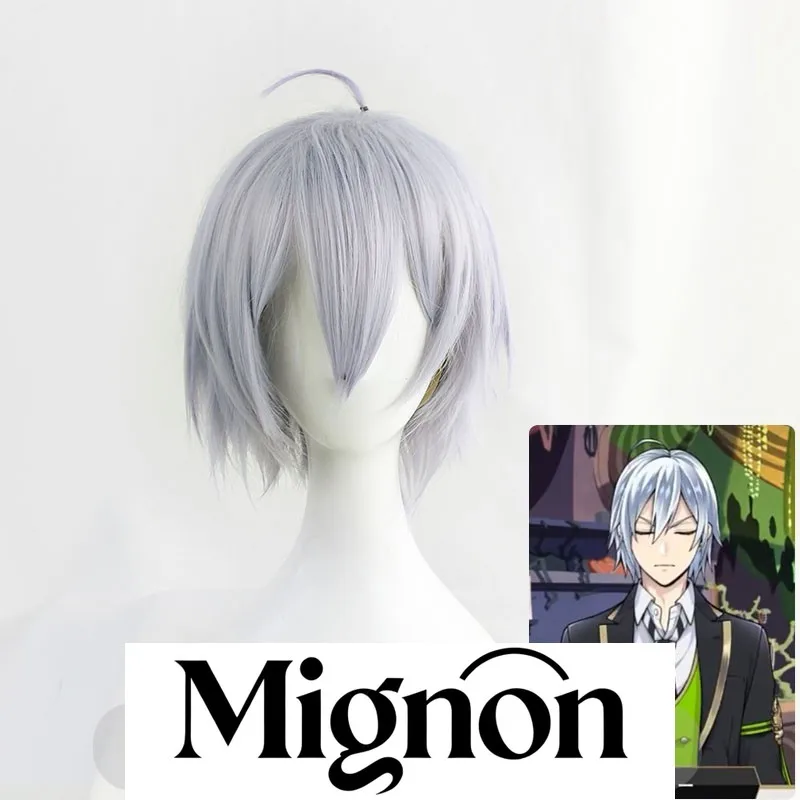 

Серебряный парик для косплея Twisted Wonderland Алиса в стране чудес