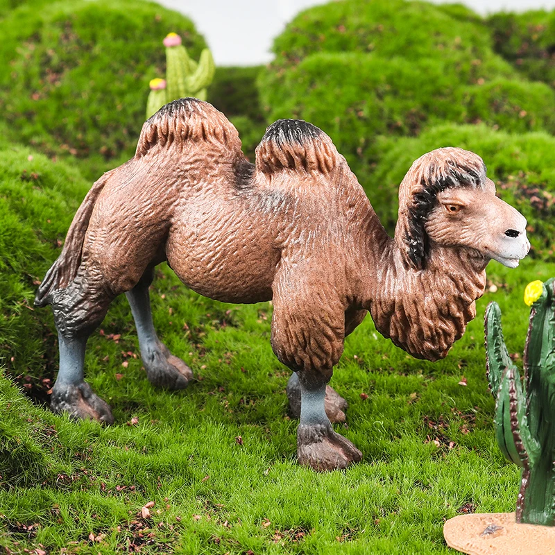 Oenux Wild Desert Camel Simulation Animal Kameel Camel Model Action Figures Solid PVC Figurines Educational Kids Toy Gift