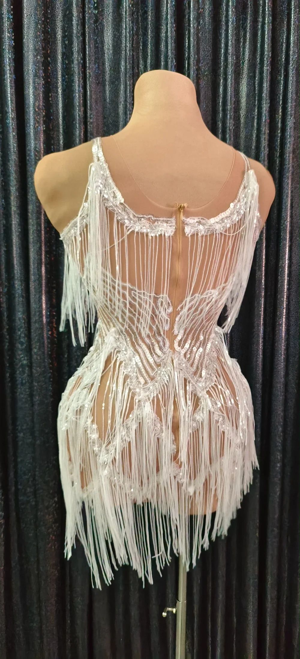 Sequins Fringes Dress Sexy Mesh See Through Tassel Dance Costume Birthday Dress Performance Show Stage Wear