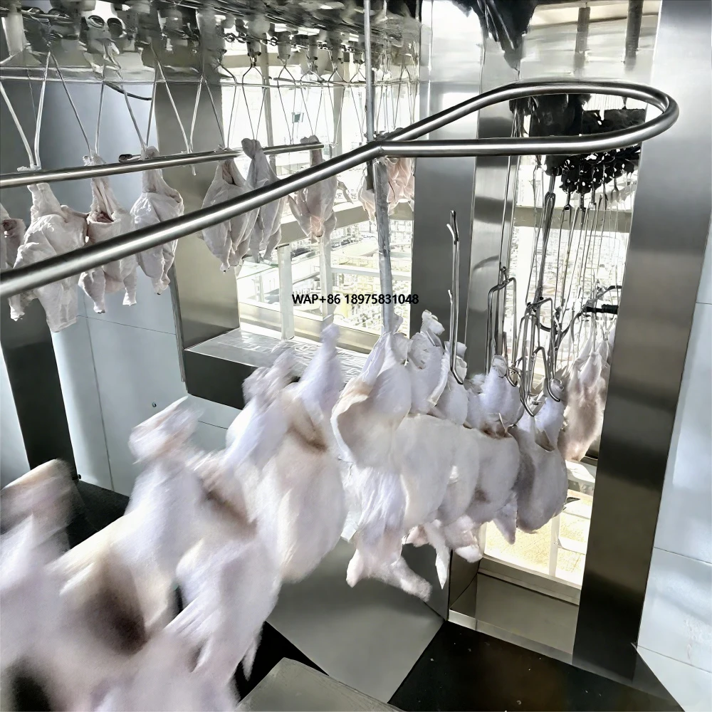 

Custom Chicken Processing Plant Equipment for Optimal Workflow and Yields for Big or Medium Slaughterhouse with CE Certification