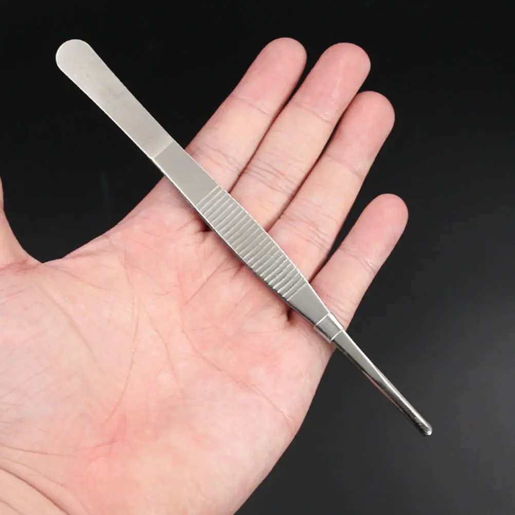 Pinzette in acciaio inossidabile da 6 pezzi Forniture da giardinaggio Durevole Pratico Leggero Manico ergonomico Ideale per piante grasse Bonsai