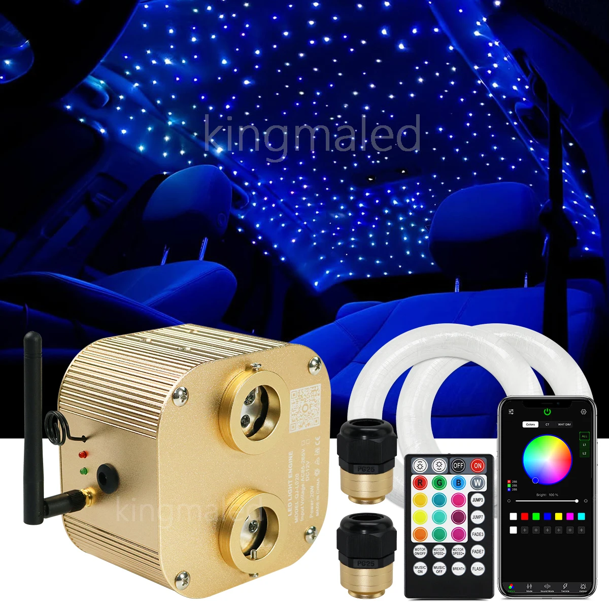 Double Head 20W RGBW Twinkle Starry Sky Car Star Light SmartAPP Controller Fiber Optic Star Car Roof Star Ceiling Light Kit