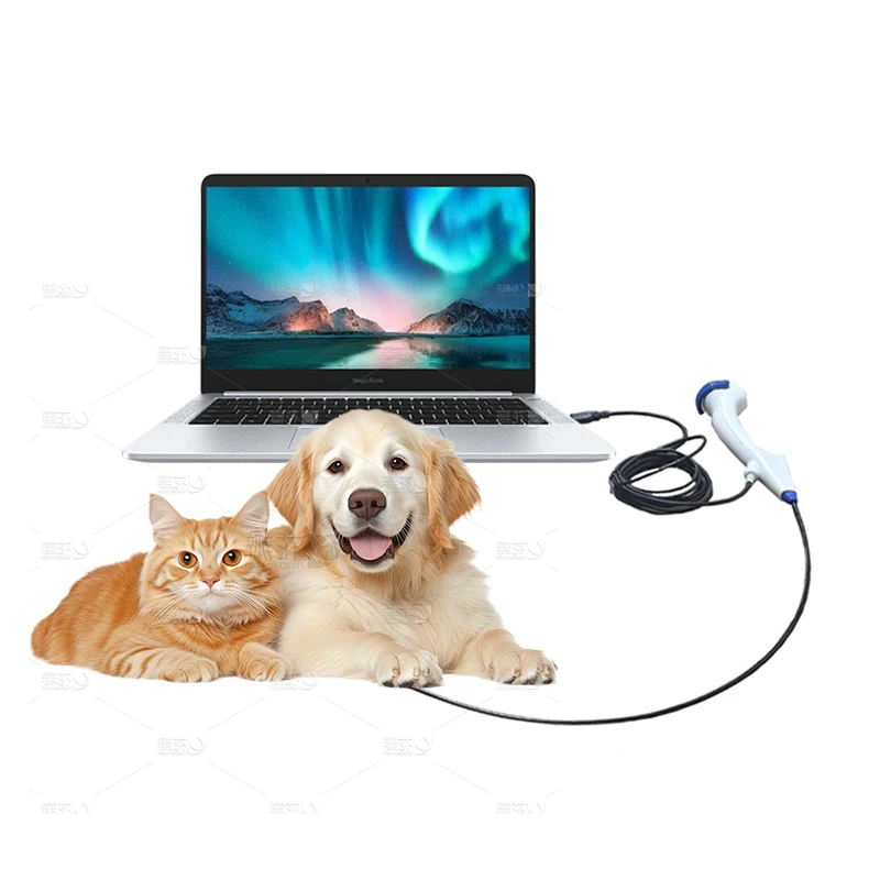 Medical Equipment Endoscope Factory Price Flexible Use Disposable Video Endoscope Urology Camera