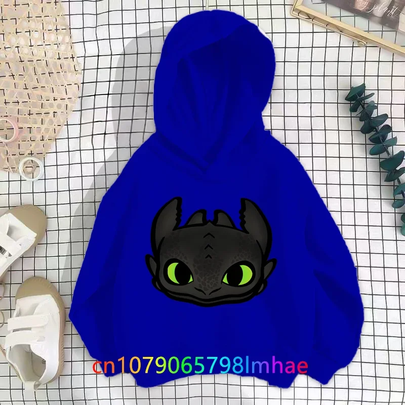 How to Train Your Dragon desportivo com capuz infantil, moletons com capuz, meninas, meninos, roupas infantis, tops, outono