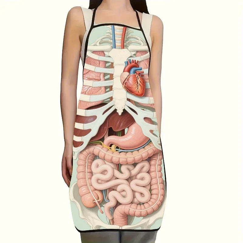 1pc Human Organ Anatomy Print Apron - Fashionable Design, Polyester, Perfect Fun for Home, Kitchen, Baking, And Work