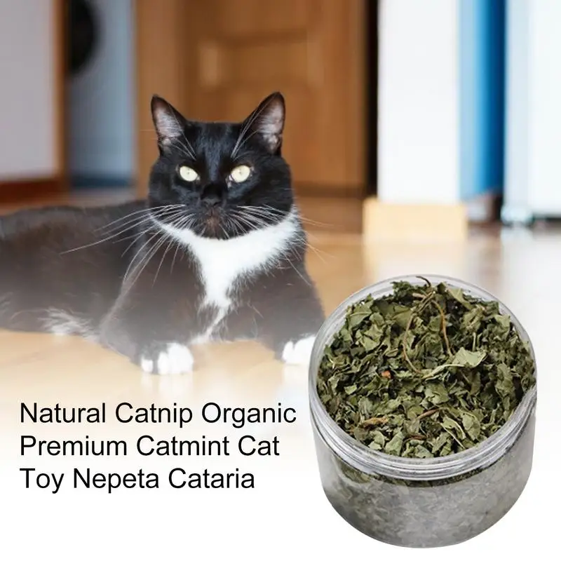 Pet Catnip Toys Edible Catnip Ball Safety Healthy Cat Mint Cats Home Chasing Game Toy Products Clean Teeth The Stomach