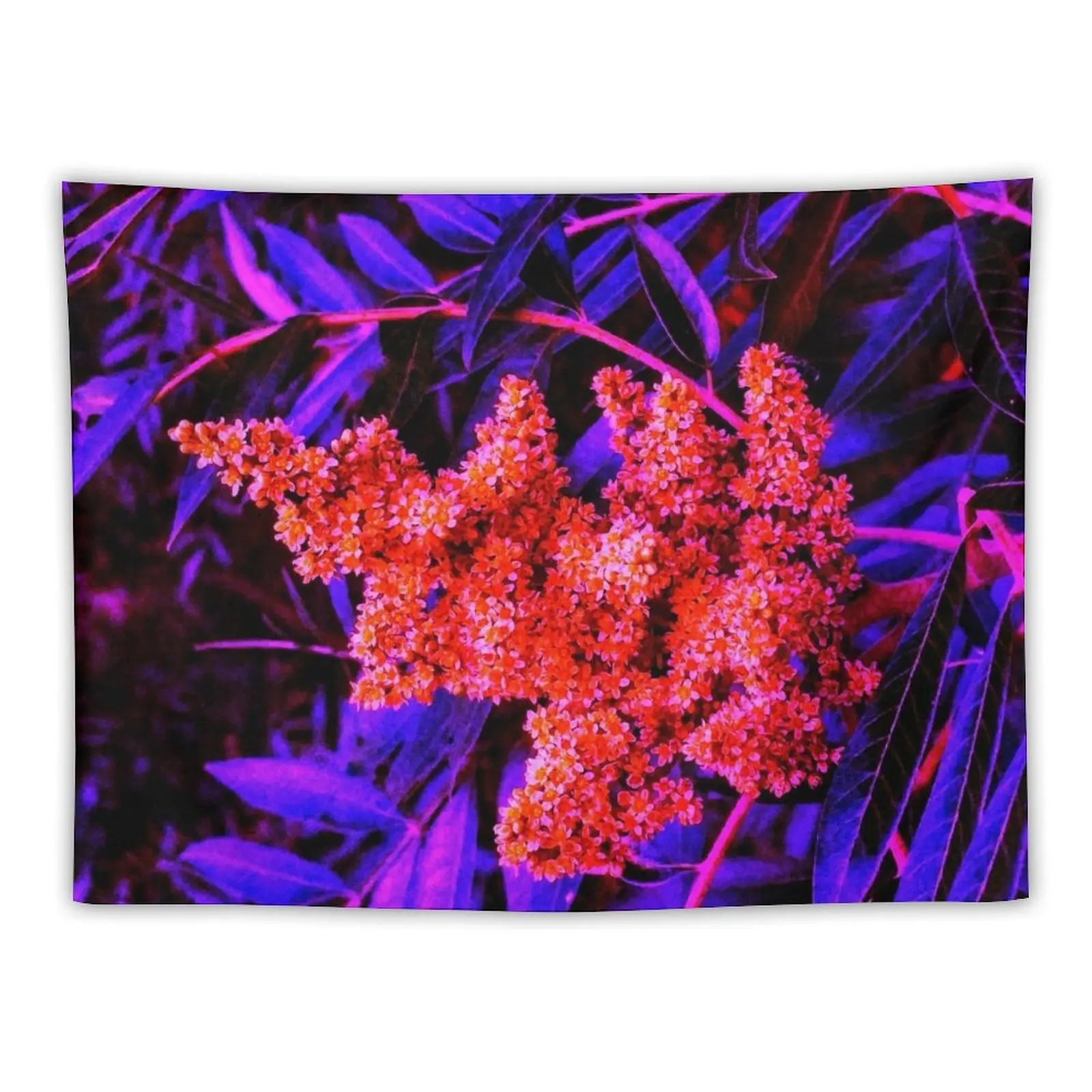 

Red and Blue Sideways Sumac Tapestry Wall Carpet Aesthetic Room Decorations Wall Tapestries Aesthetic Room Decoration Tapestry