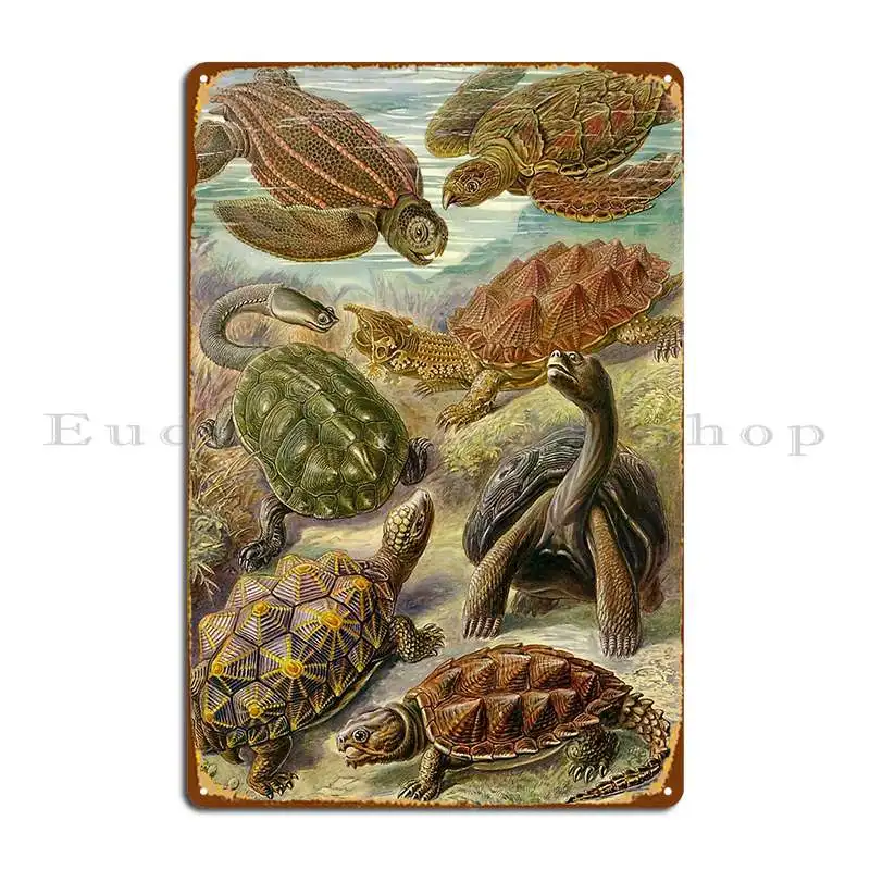 Chelonia Ernst Haeckel Metal Sign Personalized Cinema Wall Decor Designing Plaques Tin Sign Poster