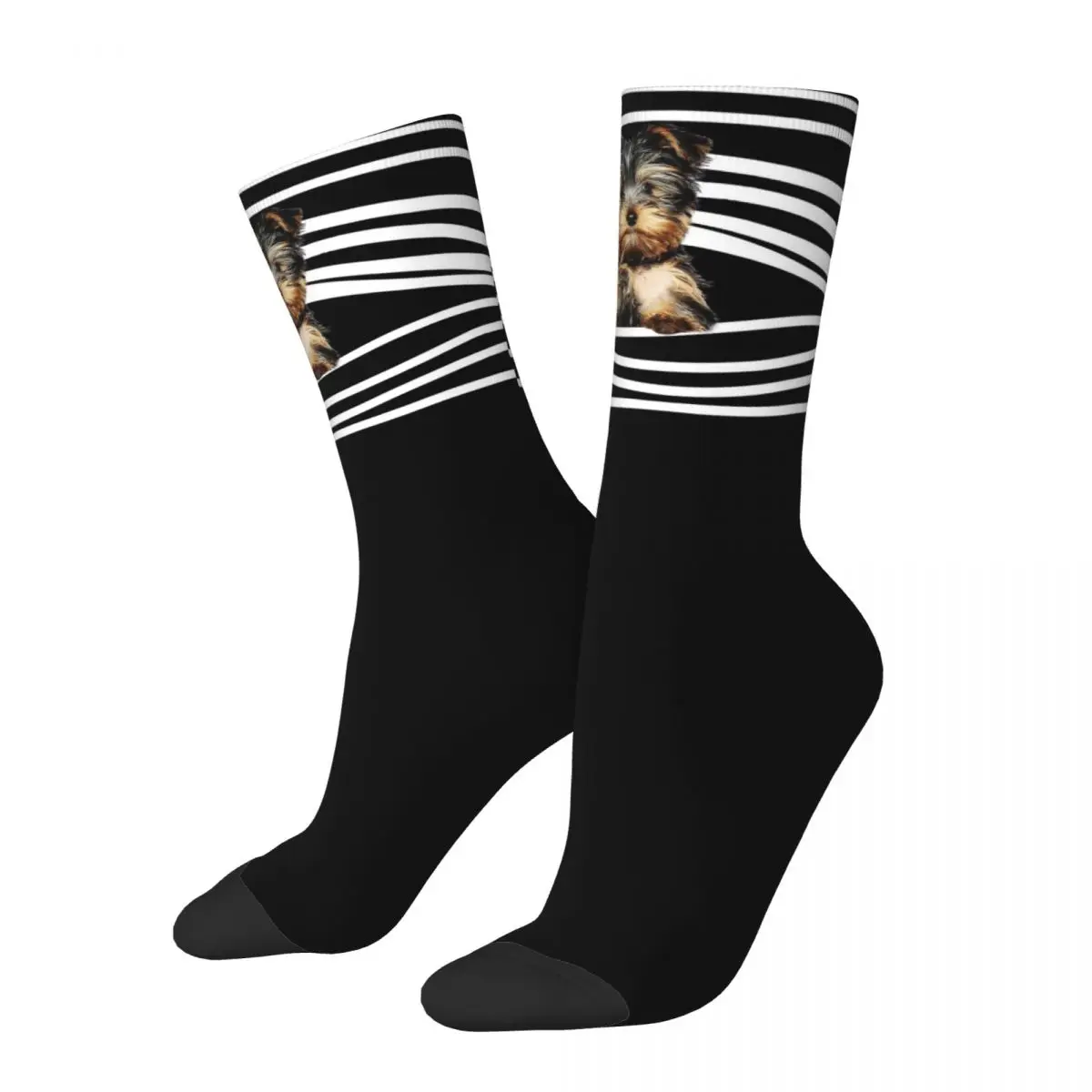 New Male Men Socks Harajuku Yorkshire Terrier Sock Polyester Yorkie Dog Puppy Sport Women's Socks Spring Summer Autumn Winter