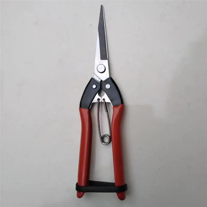 Garden Pruning Shears Potted Branches Scissors Fruit Picking Small Scissors Household Hand Tools Orchard Farm Gardening Tools