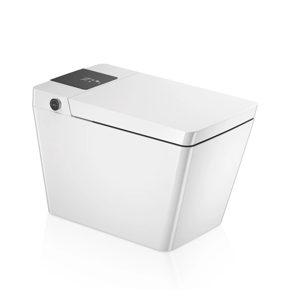 Toilette automatica in ceramica monopezzo telecomandata con funzione bidet