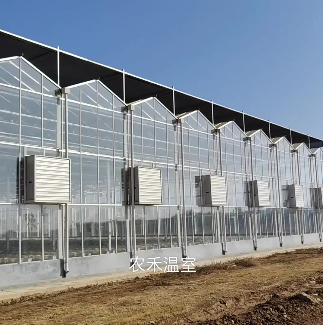 2025 وصول جديد الزجاج الجاهز تصميم البيت الأخضر لوحة طاقة شمسية متعددة المراحل الدفيئة للمشروعات الزراعية