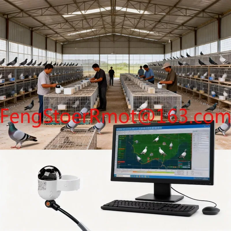 Suitable for Ultra-light ABS pigeon locator without SIM card | High-intensity bird racing device