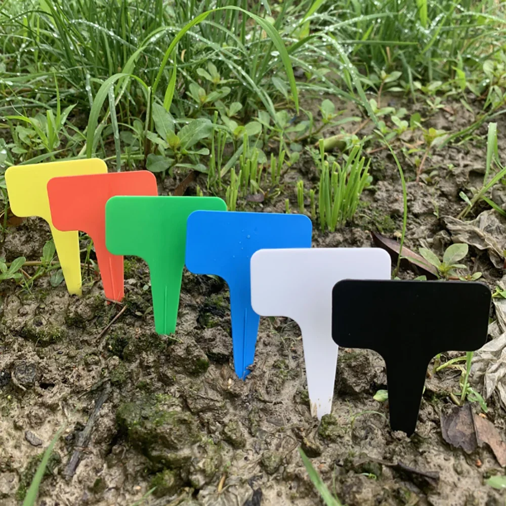 12 Pcs/Pack Plant Label Vegetable Flower Tag Plant Markers Resistant T-shaped PP Plastic Nursery Garden Thicken Tag Mark Decor