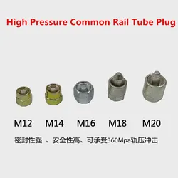 Common Rail Tube Plug Common Rail Injector Cap Common Rail Injector Tube Block-Off Tool Sealing Plug M12 M14 M16 M18 M20