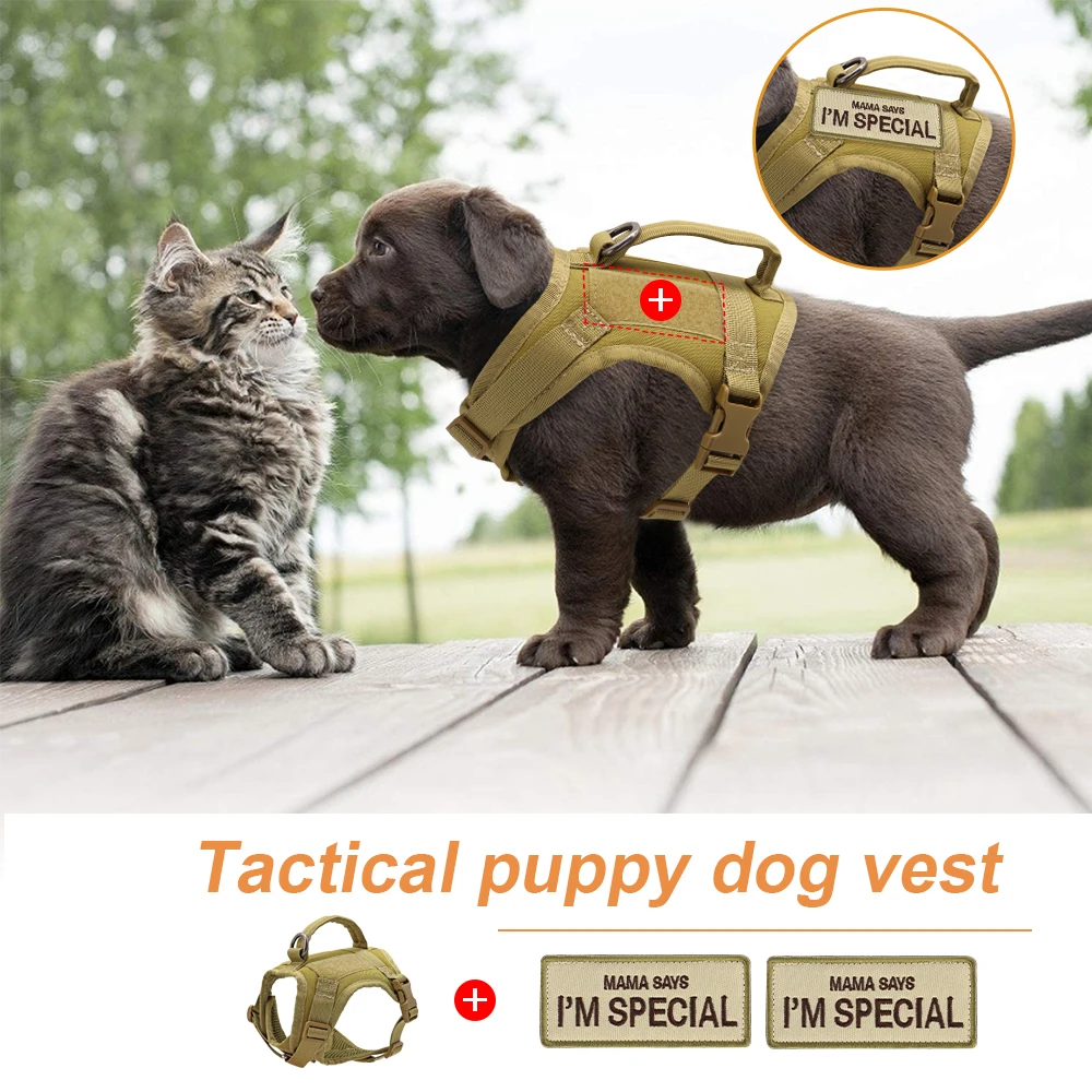 Tactical Military Cat Vest Adjustable Military Puppy Cat Harness With Sticker Patches For Small Dogs Cats Tactical Traction