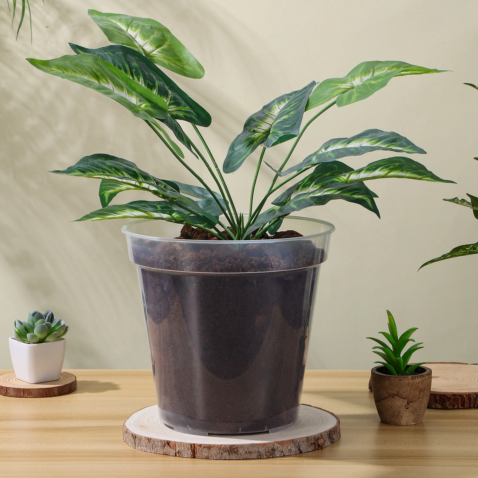 

10Pcs Clear Orchid Pots Durable Plastic Plant Containers Perfect for Beginners Experienced Gardeners Indoor Outdoor