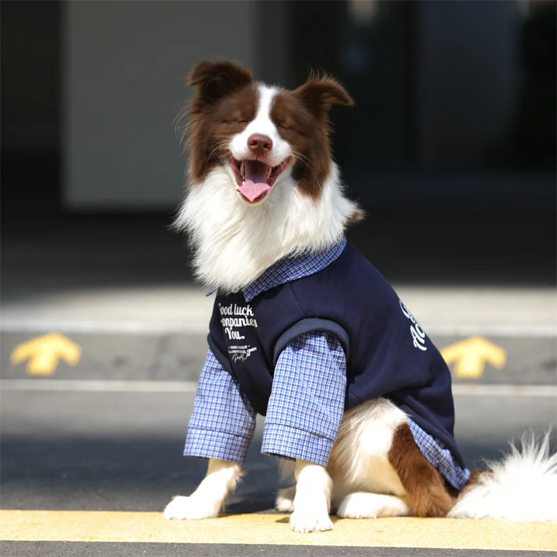 

Толстовка с капюшоном для больших собак Самоед Бордер Колли Хаски Лабрадор Золотистый ретривер Шнауцер Одежда для померанского шпица Одежда для маленьких и больших собак