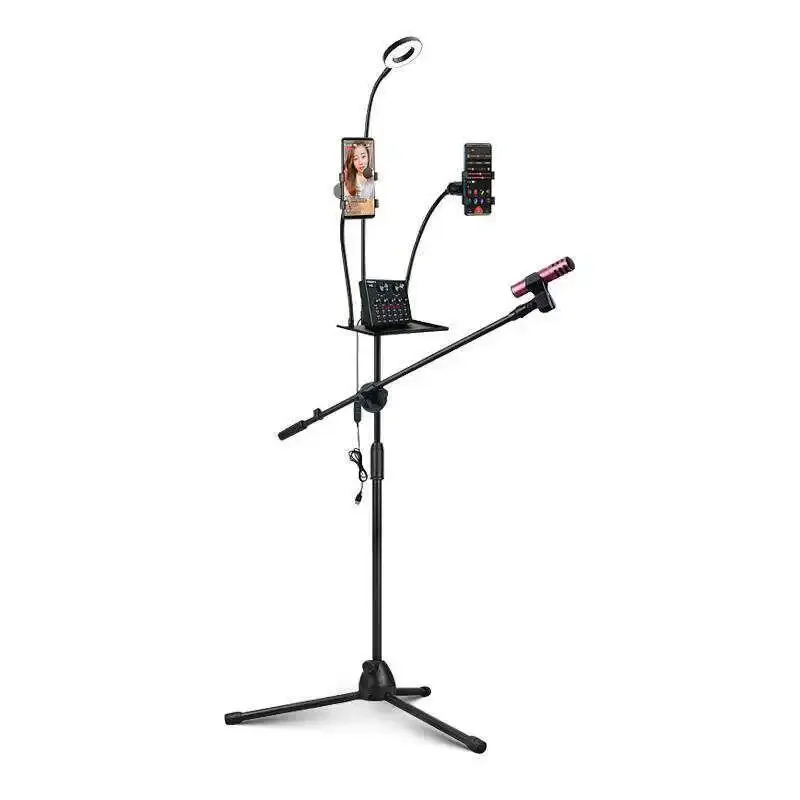 Two-position three-position microphone rod with tray