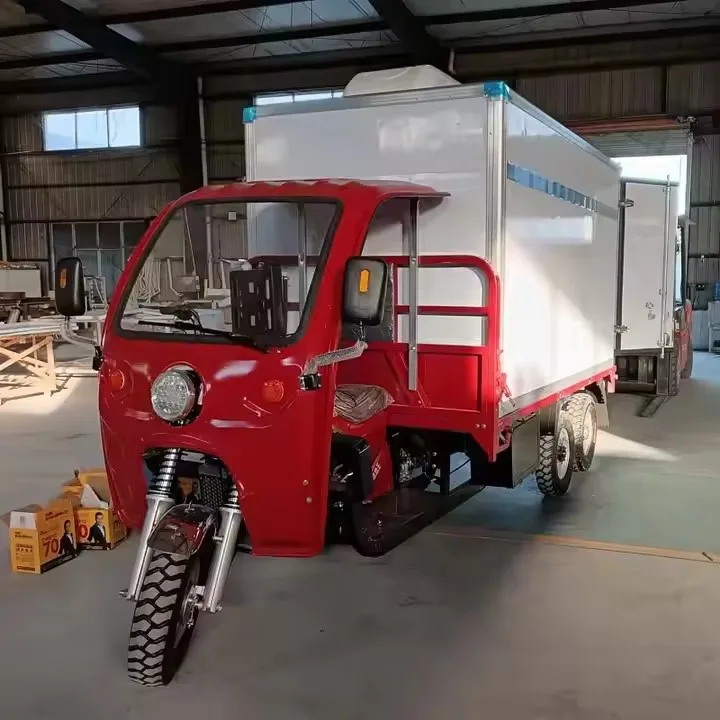 High Quality Refrigerated Box on Motor Tricycle with Two Doors Freezing Cabinet for Meat and Perishable Goods