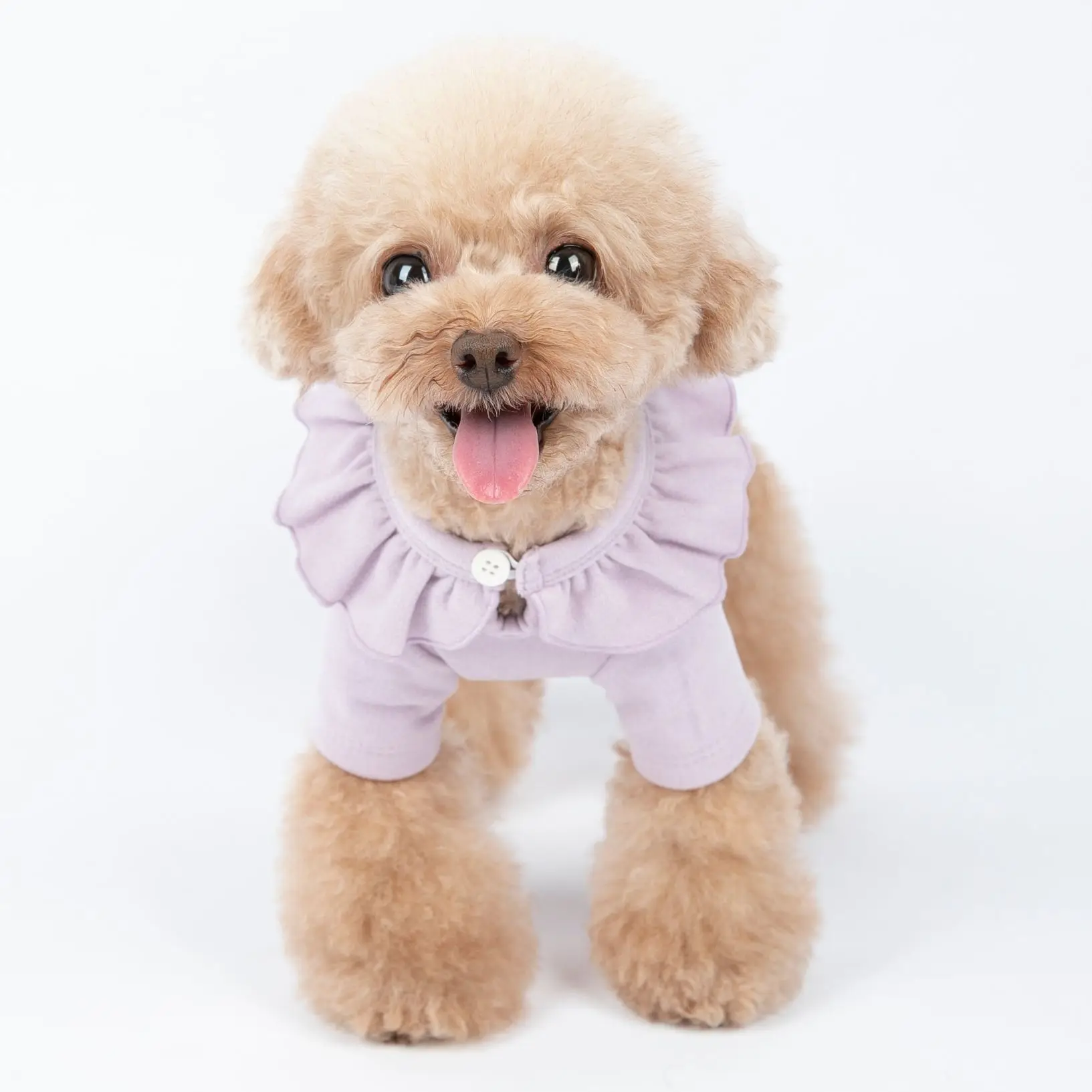 

Winter Pet Clothes Under Dog Clothes Soft Cat Clothing Fashion Cute Inner Lace Shirt Chihuahua Preppy Sweet Teddy Dog Cat Cloth