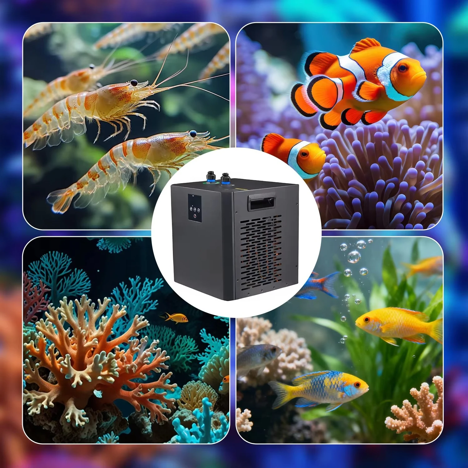 #ZT 0.3HP 600w 300L Fish Tank Water Cooled Chilling Equipment Aquarium Cooler Chiller With Refrigeration Compressor Ice Machine