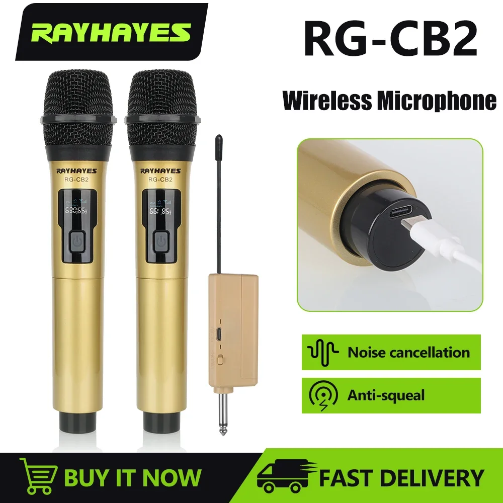 RAYHAYES 2 Channels UHF Wireless Microphone Cardioid Dynamic Professional Handheld Mic Micphone Receiver DJ Karaoke RG-CB2