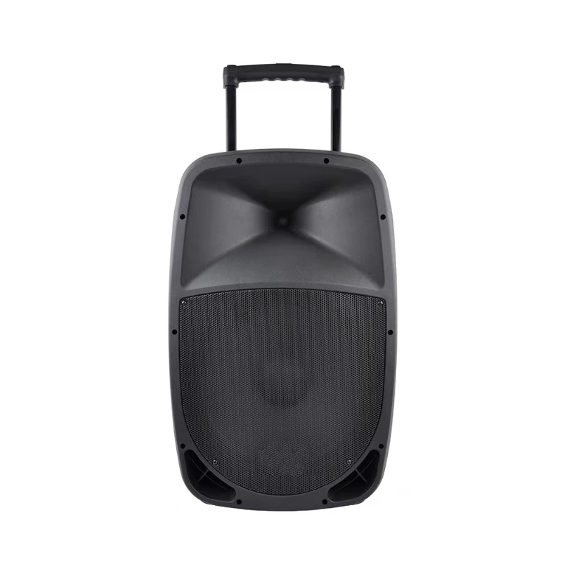 

Professional Active Speaker Powered Speaker Trolley Party Speaker with Wireless Microphone