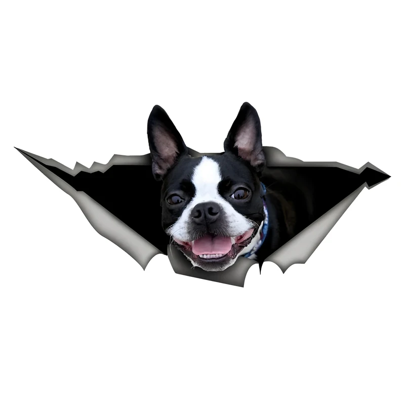 

DK491# Boston Terrier Car Stickers, Weather-Resistant Vinyl Stickers for Windows, Bumper Crafts - PVC Material Vehicle Decals