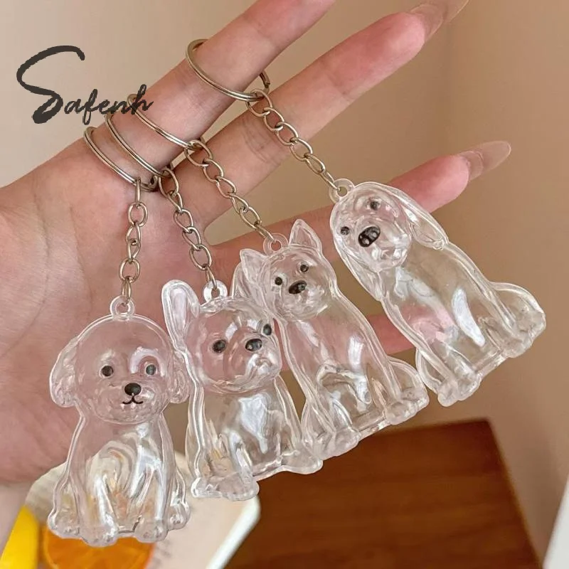 Porte-clés de rangement de poils de chien, mignon, Transparent, fourrure d'animal de compagnie, Capsule, sac pendentif, décor, Collection Souvenir, cadeau, bijoux commémoratifs