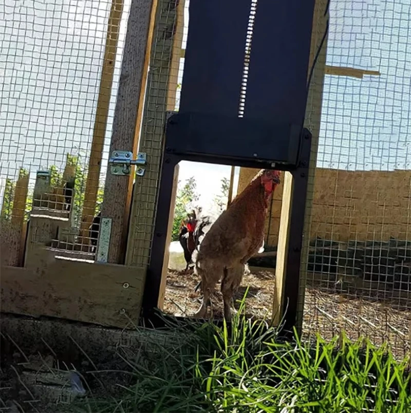 Automatic Chicken Coop Door, Battery Powered, Intelligent Pet Door with Light Sensor, Farm Equipment