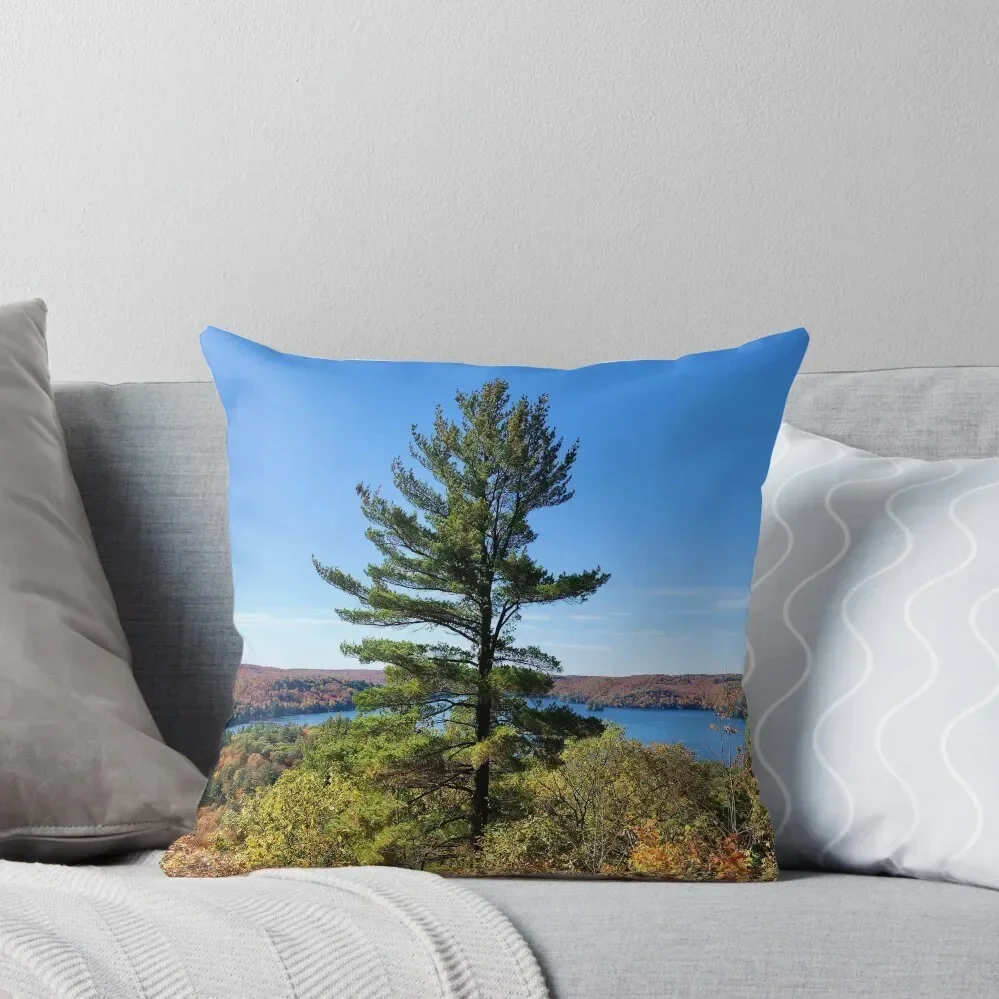 

A Lone Rising Tree in Muskoka Throw Pillow Decorative Cushions For Luxury Sofa Luxury Pillow Case pillow
