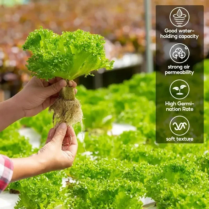 Tapones de inicio de lana de roca, cubos de cultivo de lana de roca, iniciadores de semillas, cubos de plantación, recortes hidropónicos,