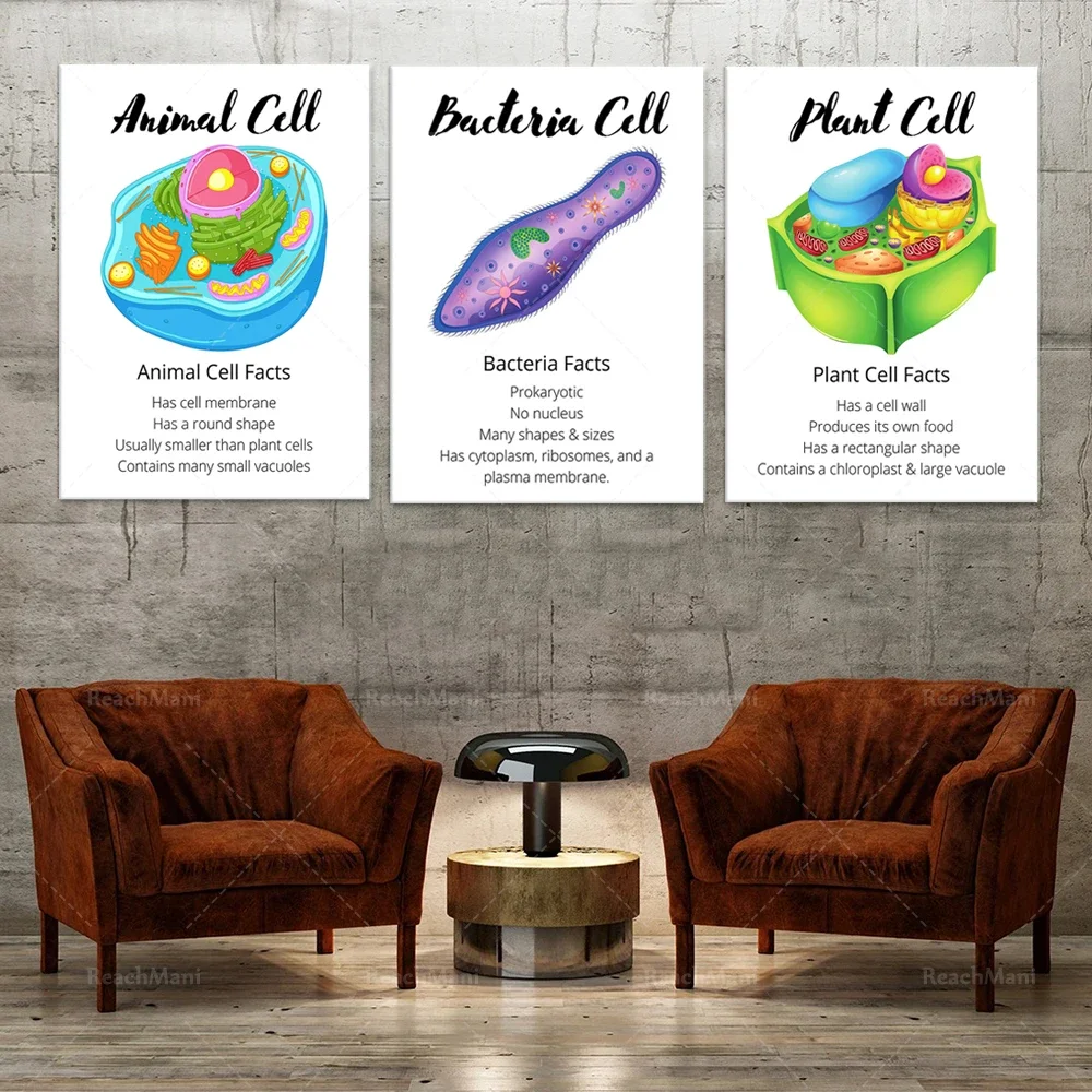 Science classroom art cell poster, notes anatomy, biology, animals, bacteria, decorative wall art canvas painting